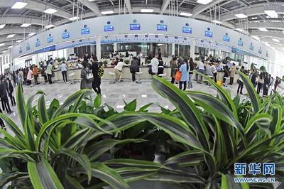 潮平兩岸闊 奮楫正當(dāng)時(shí)——來自遼寧的高質(zhì)量發(fā)展實(shí)踐信息咨詢服務(wù)